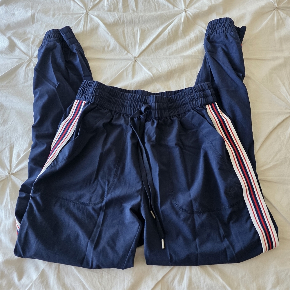 Aritzia TNA Navy Track Pants with Striped Sides - Picture 2 of 7